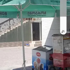 Zontik achanda 3 metir tazeje