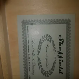 Sheffield consert guitar