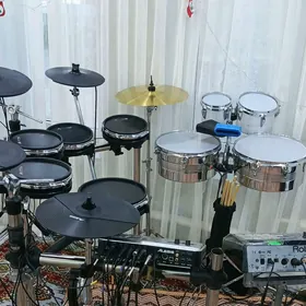 baraban udarnik alesis dm10