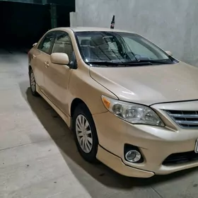Toyota Corolla 2011