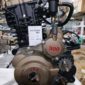 Dwigatel JAS 300 6-skor