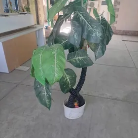 искуственное растения