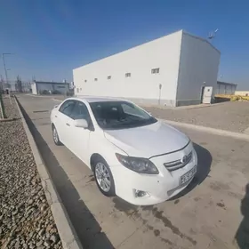 Toyota Corolla 2010