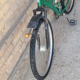 welsopet kama tigir welik