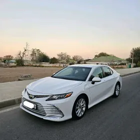 Toyota Camry 2021