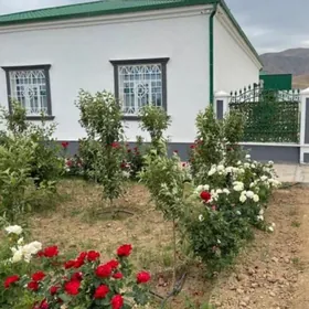 bereketli zaman gäwers