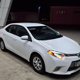 Toyota Corolla 2014