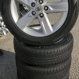 palta kemry 17 arginal