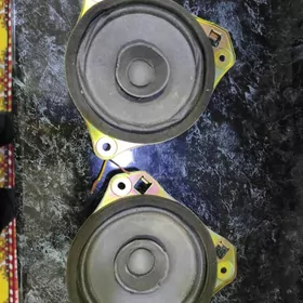 Piyoner Kalonka Orginal Lexus