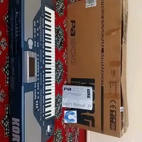 KORG PA 800