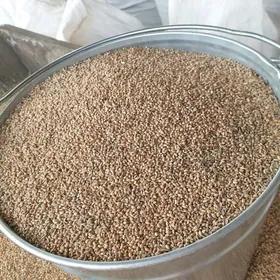 Satlyk Dary(Tary) 2025ý hasyly