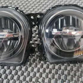 туманики лэд F10