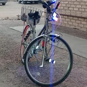 Welik-Weloseped 27-lik