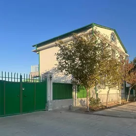 Taze Zaman 1tapgyr kotej 12sot