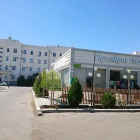 Элитка квартира Daşoguz