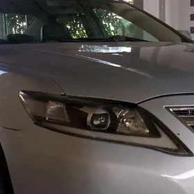 okuz kelle fara jübüt (gaşly)