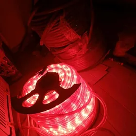 Let cyra dasaryk ucin