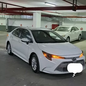 Toyota Corolla 2021