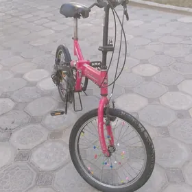 Velik 20lik Lamborghini