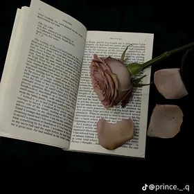 Mugallym/Repetitor(Arkadag ş.)