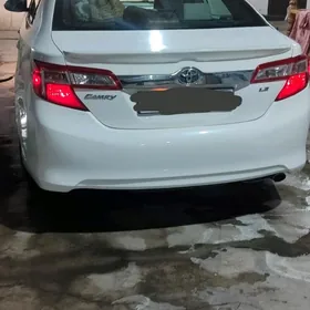 Toyota Camry 2013