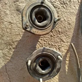 yzky lyustra okuz kelle