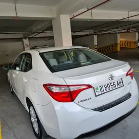 Toyota Corolla 2014