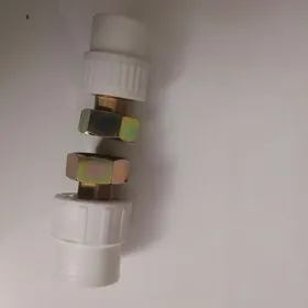 Suw scyitcigin amerikankasy