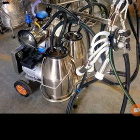 sygyr sagyan доильный аппарат