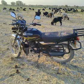 Fekon FK200-14G 2024