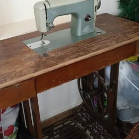 Donuz kelle koynek tikin masyn