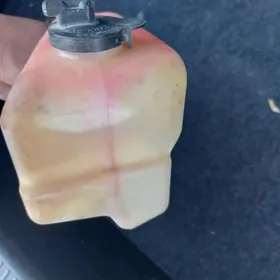 okuz kelle  antifriz bacok