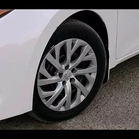 karolla gara diska kalpak obme