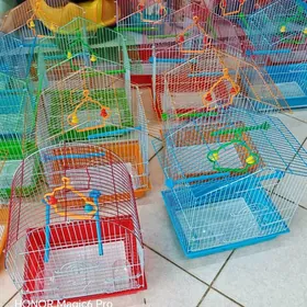 Kletka totyguş uçin