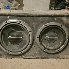 Pioneer bass bocka