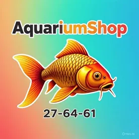 BettaFish-Петушки