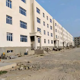 Anew pol elitga gerek