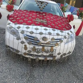 Toÿ hyzmaty gelnanjy bezegi