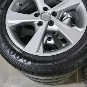 Karolla exskulizi 16 lyk