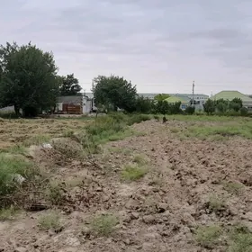 Jay mellek yer 25 sotak