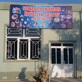 ELEKTRONIKA ŞAÝLARY