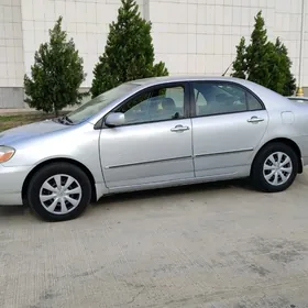 Woditel iş gózleyan