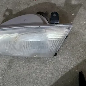 cep tarap far lisicka orginal