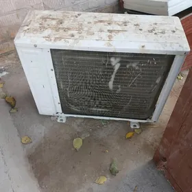 Кондинсонерин  аркасы