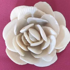 морская роза для декора