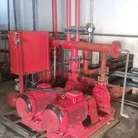 turba swarkadan bashy chykyan