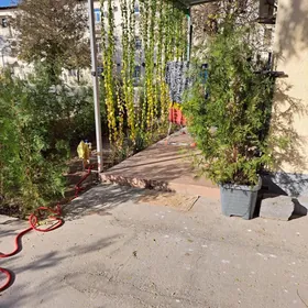 Satlyk 30mkr Kwartal/ Высокие