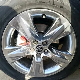 HIGLANDER DISGA R19 LIMTET