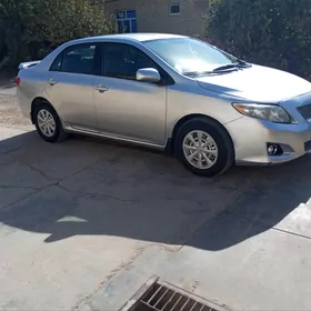 Toyota Corolla 2010