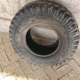 ÖZKA TIGIR 15 likOZKA TIGIR